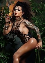 Amazing Foxxy stripping in jungle